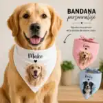 bandana chien personnalisé avec photo et prénom bandana personnalisé animal accessoire chien personnalisé impression haute qualité