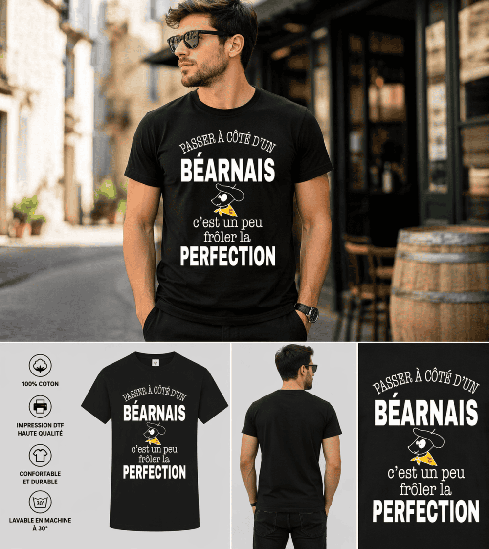 T-shirt homme noir Béarnais humour passer à côté Béarnais perfection design texte