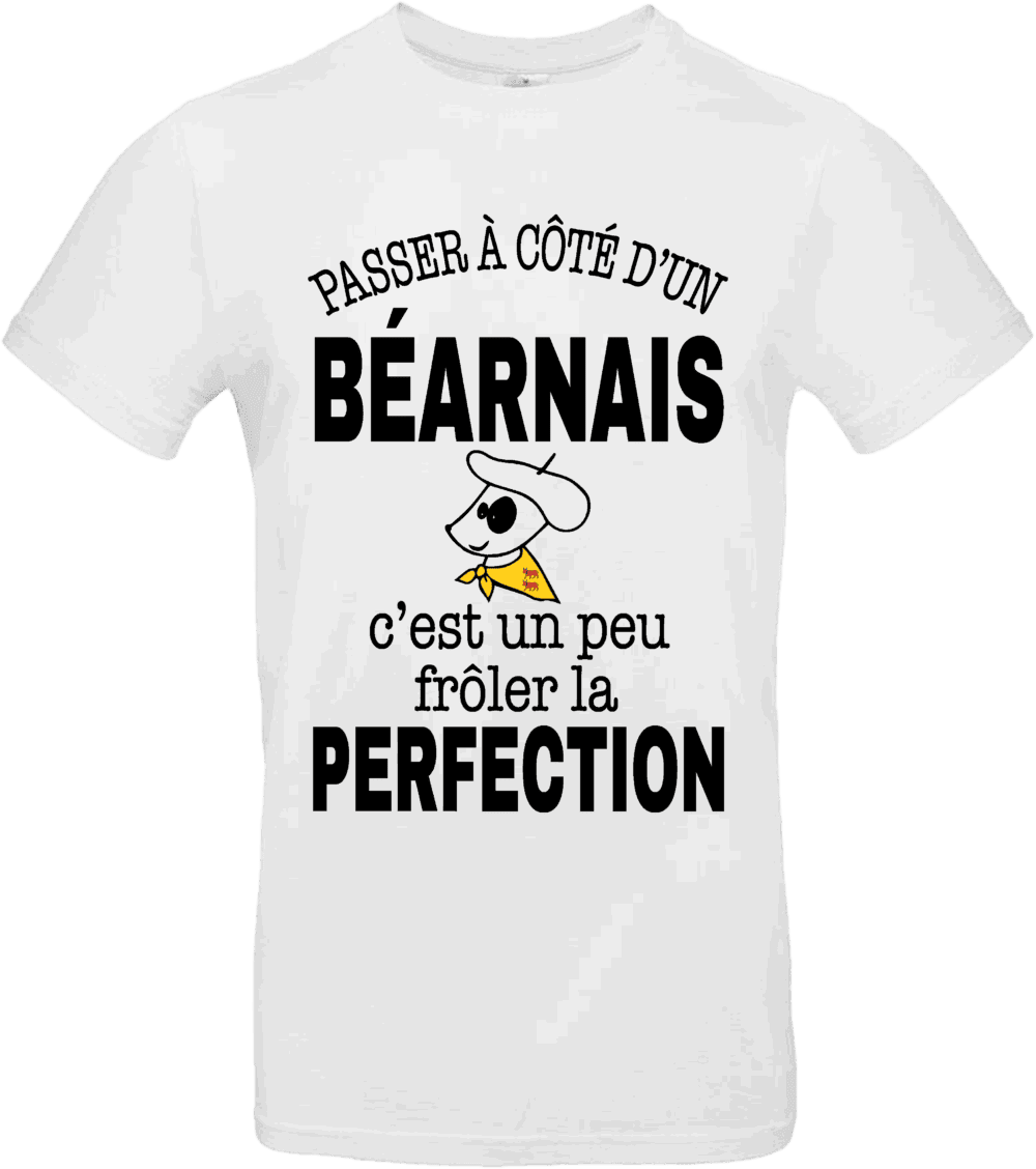 T-shirt “Passer à côté d’un Béarnais, c’est un peu frôler la perfection” 😎 – Image 2