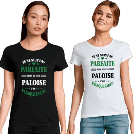 tee shirt femme paloise parfaite humour
