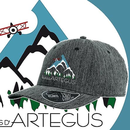 casquette grise logo avion bois artegus