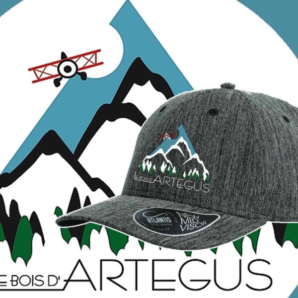 casquette grise logo avion bois artegus
