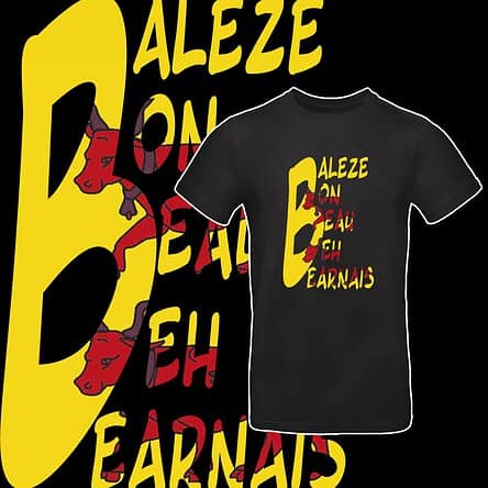 TEE SHIRT BEARNAIS BALEZE BON BEAU BEH
