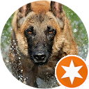 William Didier profile picture