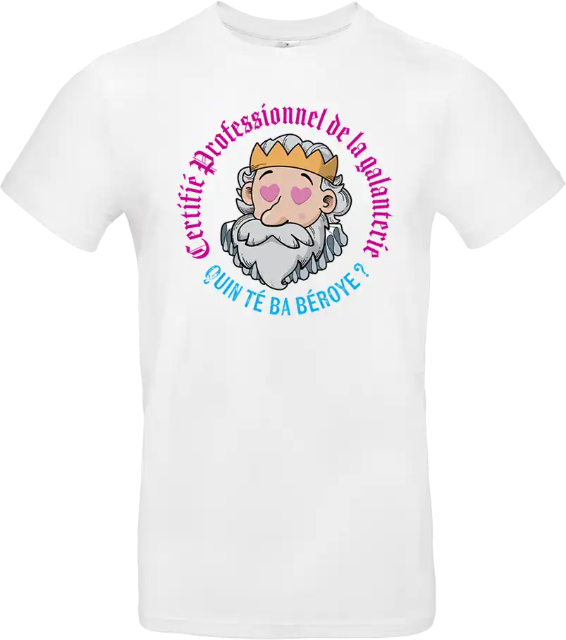 t shirt homme blanc drôle béarn “henri iv certifié professionnel de la galanterie”