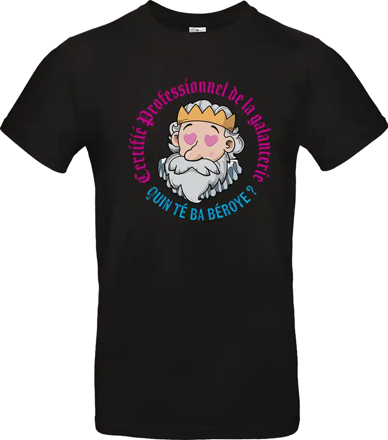 t shirt homme noir drôle béarn “henri iv certifié professionnel de la galanterie”