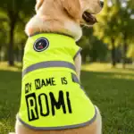 gilet réfléchissant pour chien personnalisable – sécurité & style à 4 pattes 🐾