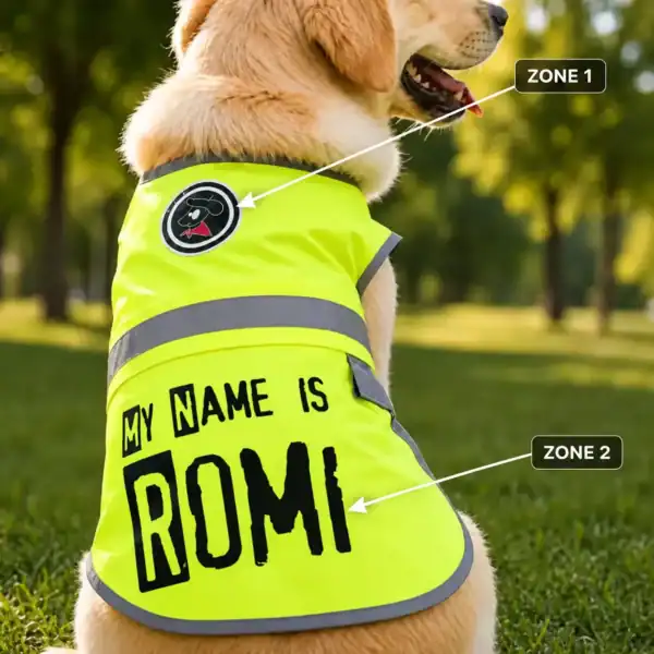 gilet réfléchissant pour chien personnalisable – sécurité & style à 4 pattes 🐾