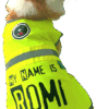 Un adorable corgi nommé Romi porte un gilet de sécurité jaune fluo avec l’inscription “My name is Romi and I am so happy !!” et un patch amusant sur l’épaule. Le chien regarde en arrière avec un air malicieux, assis sur une couverture verte décorée de motifs de corgis.