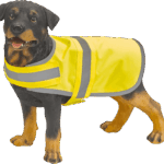 Chien portant un manteau de sécurité jaune.