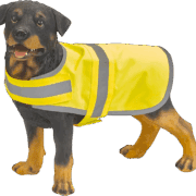 Chien portant un manteau de sécurité jaune.