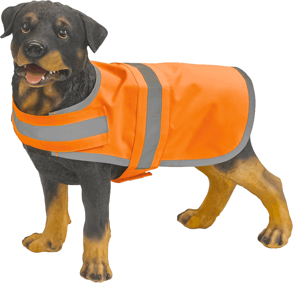 Chien portant un manteau de sécurité orange.