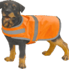 Chien portant un manteau de sécurité orange.