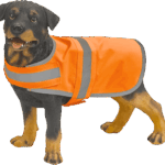 Chien portant un manteau de sécurité orange.