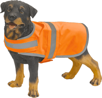 Chien portant un manteau de sécurité orange.