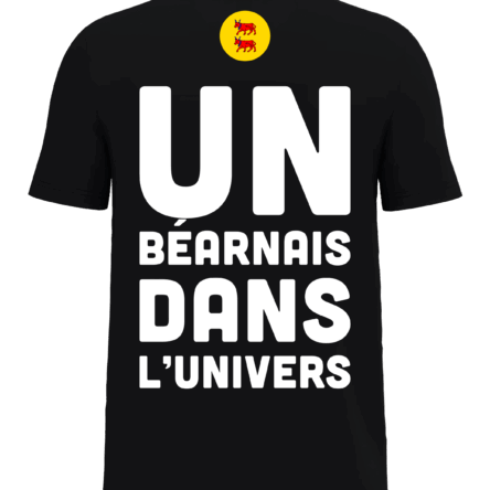 Béarn, Pau, Fier d’être Béarnais, Pilou Shop 64, Collection Locale, T-shirt Homme, DTF Premium, Humour Béarnais