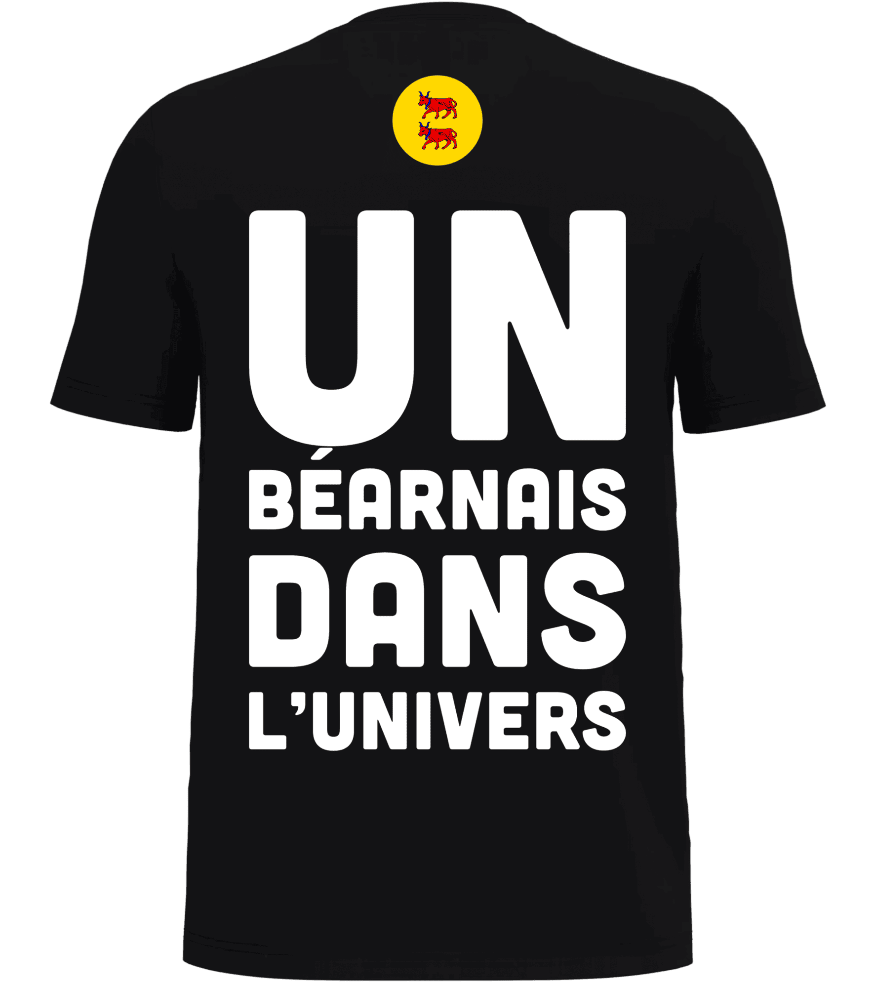 Béarn, Pau, Fier d’être Béarnais, Pilou Shop 64, Collection Locale, T-shirt Homme, DTF Premium, Humour Béarnais