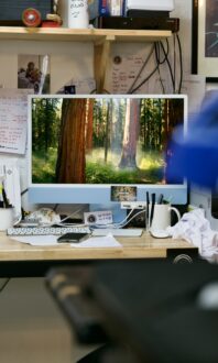 Bureau avec écran affichant une forêt.
