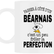 Mug humour béarnais passer à côté d’un Béarnais c’est frôler la perfection