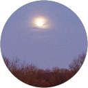 Roch C. profile picture