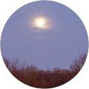 Roch C. profile picture