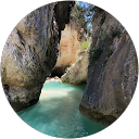 Franck L. profile picture