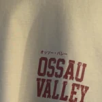 Zoom sur le logo poitrine du t-shirt Ossau Valley Béarn montrant la qualité d’impression DTF premium et les détails du tissu en coton.
