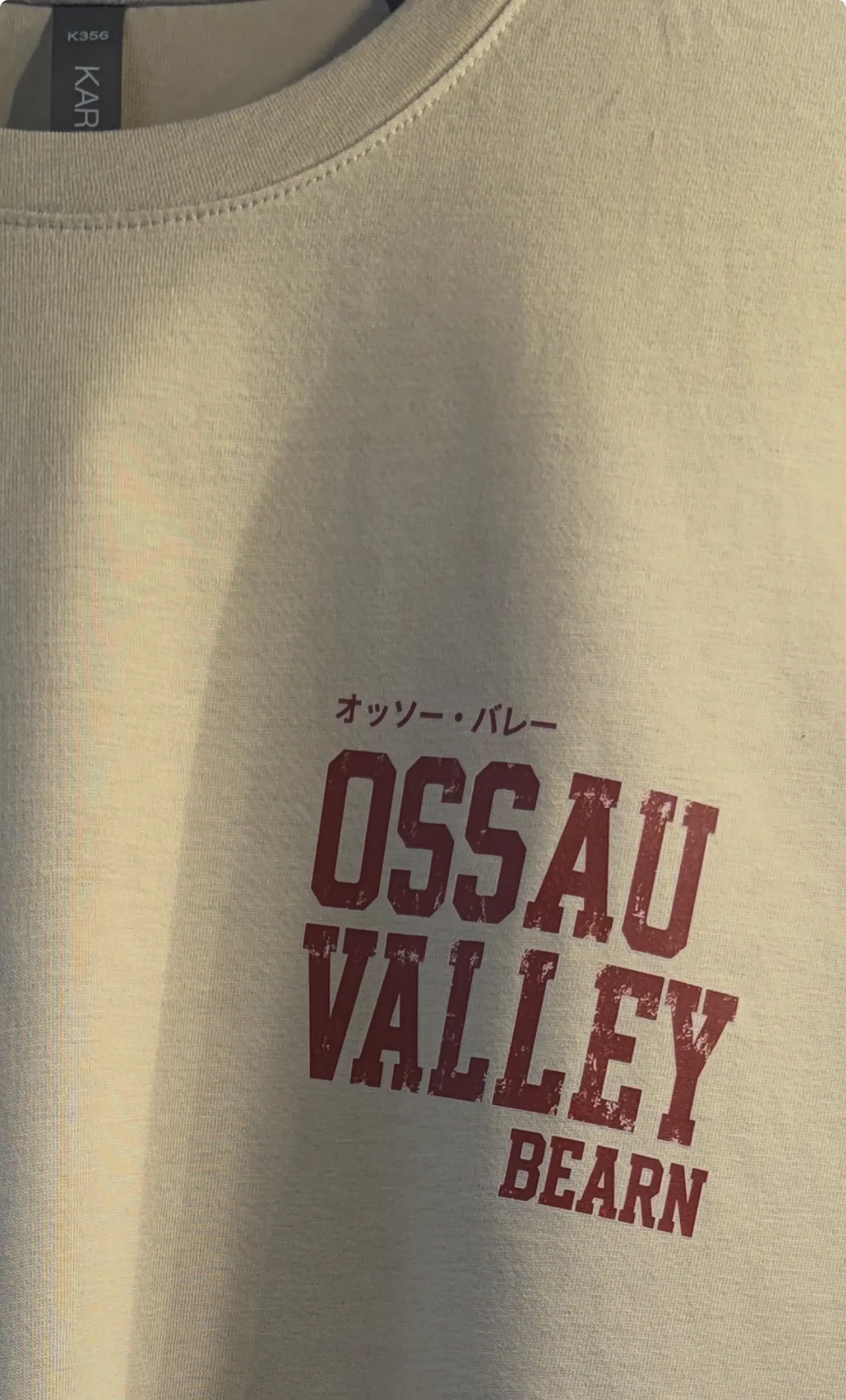 Zoom sur le logo poitrine du t-shirt Ossau Valley Béarn montrant la qualité d’impression DTF premium et les détails du tissu en coton.
